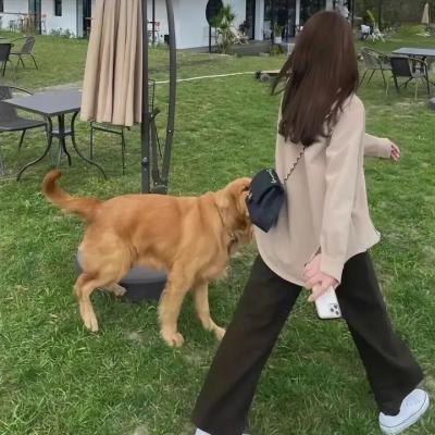 卖艺春秋