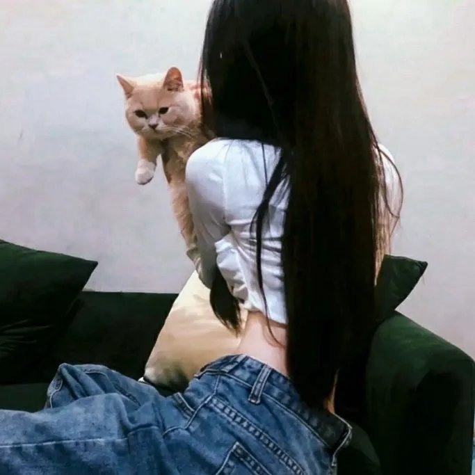 奇蛋物语